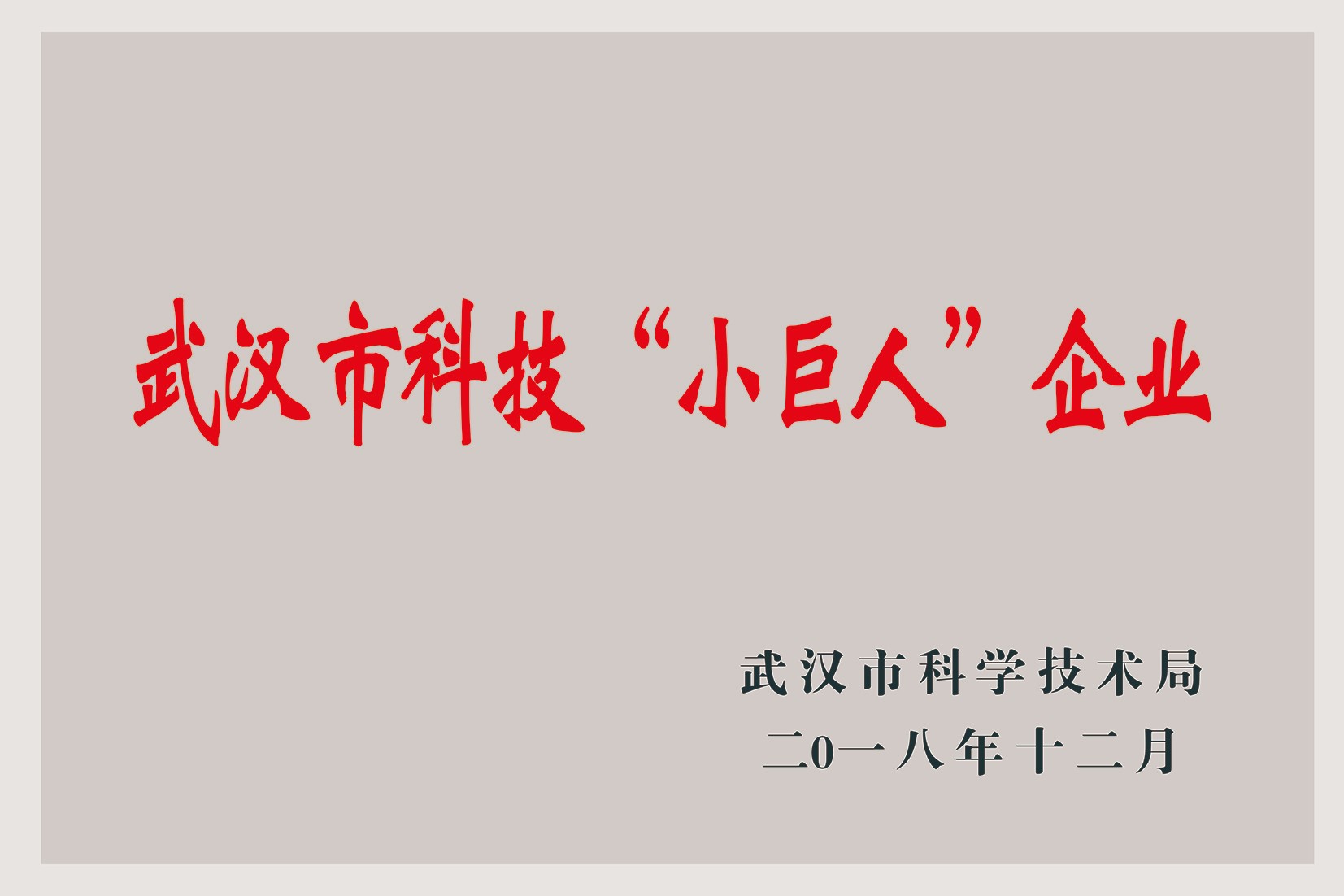武汉市科技“小巨人”企业