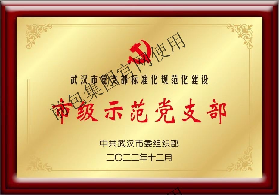 武汉市委组织部 武汉市级示范党支部