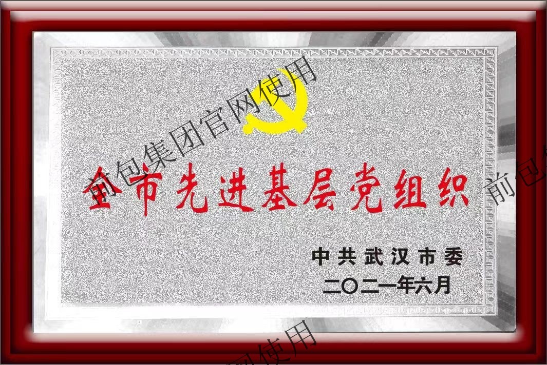 武汉市委 全市先进基层党组织