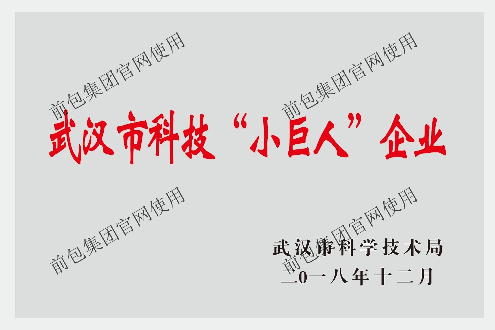 武汉市科技“小巨人”企业